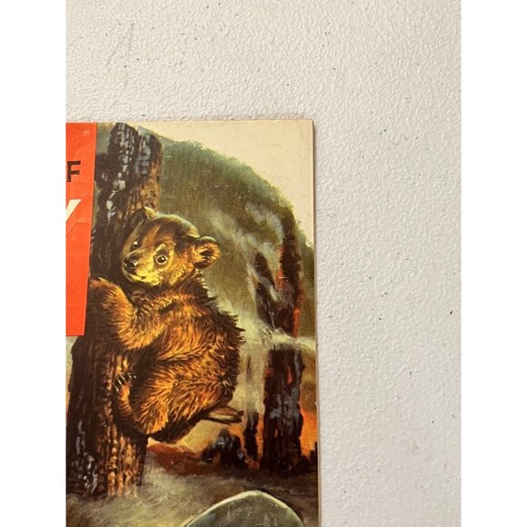 The True Story Of Smokey Bear 1950s U.S. Forestry Dept Comic Book - Picture 6 of 9